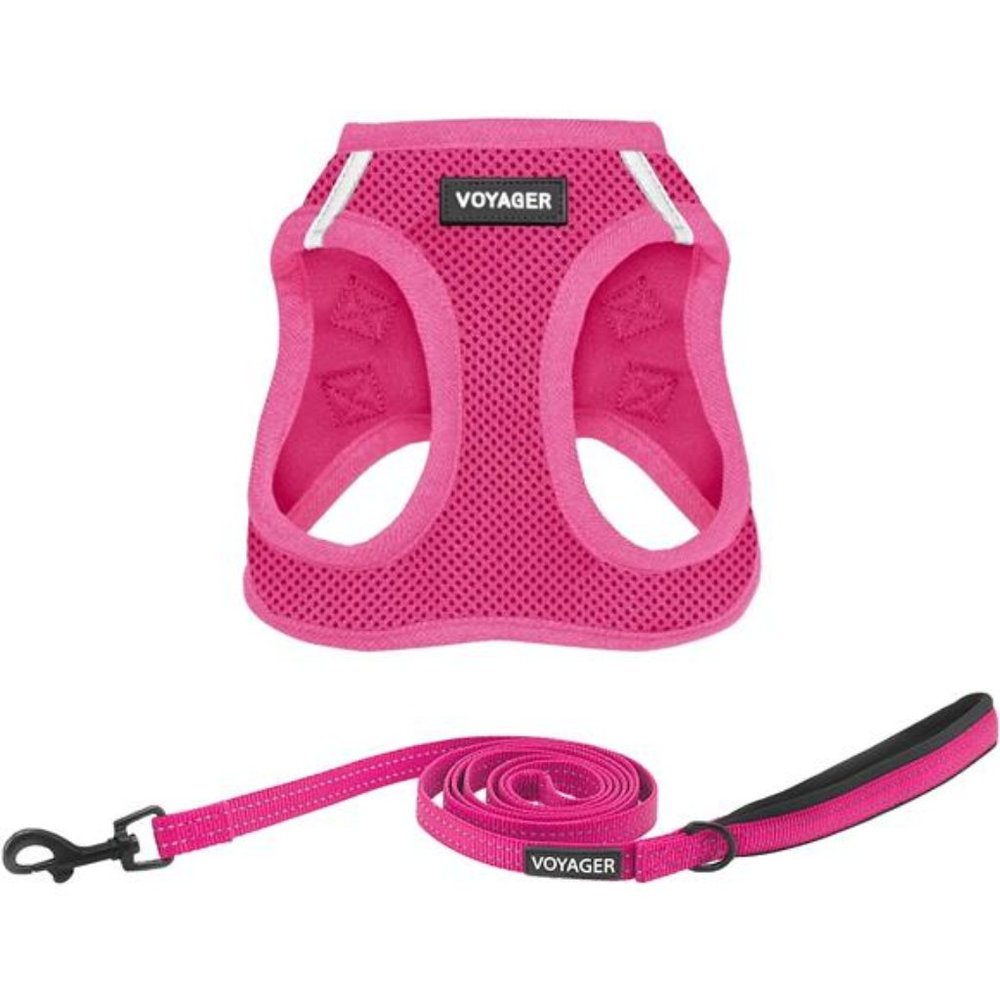 Step-in Air All Weather Mesh Harness and Reflective Dog 5 ft Leash Combo